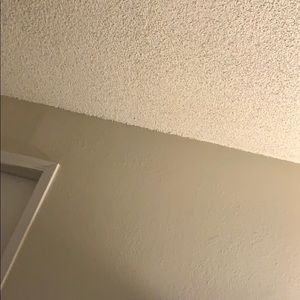 Meet your Posher, Miguel